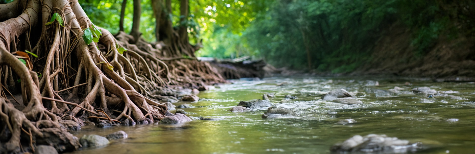 Description of Image 263